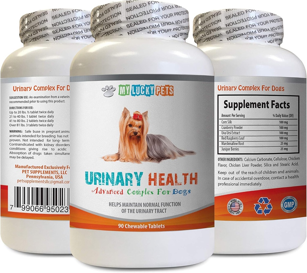 Incontinence urinaire chez le chien - Formule de santé urinaire chez le chien - Aide avec l'incontinence et les problèmes de blindage - Immune Boost - Capsules de soie de maïs pour chiens - 1 bouteille (90 gâteries)