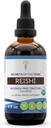 Secrets de la Tribe Reishi USDA Organic (Extrait sans alcool, gouttes à base de plantes de haute puissance) Fabriqué à partir de champignons Reishi biologique 100% certifié (Ganoderma Lucidum) (4 oz)