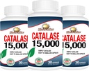 Supplément Catalase Rise-N-Shine 15 000 - Enzyme antioxydant puissant pour la santé des cheveux - Suppléments capillaires pour cheveux forts - 90 capsules - Pack de 3 bouteilles pleine grandeur (90 jours d'approvisionnement)