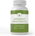 Ingrédients originaux purs Knotweed japonais, (100 capsules) Toujours purs, sans additifs ou remplissages, laboratoire vérifié