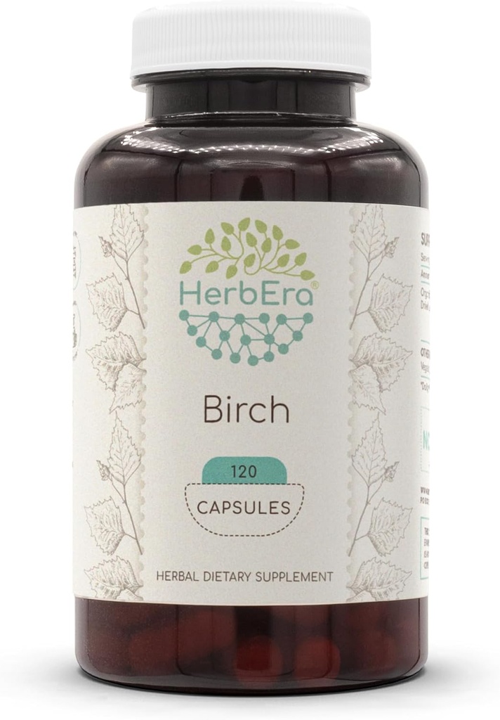 HerbEra Birch 120 Capsules, 500 mg, faites avec du bouleau (Betula Pendula) Feuille séchée (120 Capsules)