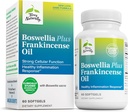 Terry naturellement Boswellia Plus Frankincense Oil - Supplément de soutien conjoint pour soutenir la mobilité et le confort interarmées - Soutien santé cellulaire avec Boswellia & Frankincense Oil - 60 Softgels