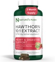 Super Potent Hawthorn Berry 10:1 Extrait Capsules pour Digestion Heart Health et le soutien glycémique - Extra Strength Hawthorn Berry Capsules - Sans gluten sans gluten GMP USA 2 mois d'approvisionnement