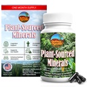 Plant-Sourced Minerals, 60 Capsules, Organic Natural Trace Minerals and Antioxidants which Support The Immune and Digestive Systems, Promoting Optimal Health. Sourced and Made in USA