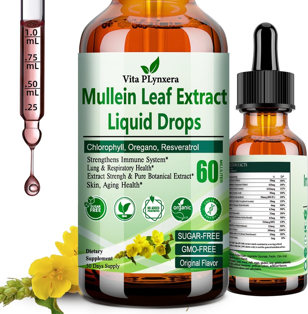 Gouttes de Mullein pour les poumons, extrait de feuille de Mullein biologique pour désintoxication pulmonaire w. Chlorophylle Elderberry Oregano Oil Resvératrol Teinture de Mullein sans alcool, saveur originale, 2 f Fl/Oz