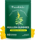 Mullein Gummies pour le nettoyage pulmonaire, Mullein naturel pour le nettoyage pulmonaire,Lung Cleanse pour les fumeurs,Mullein suppléments à base de plantes avec de la chlorophylle (60 Chews)