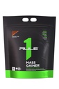 Règle 1 Protéines Gaineur de masse - Formule de gain de poids haute-Calorie avec 1 220+ Calories, 250g+ Mélange complexe de glucides, 40g Protéine tout-Whey par portion (16 portions, fudge de chocolat)