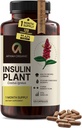 Capsules Costus Igneus (usine d'insuline) de qualité supérieure - Facile à avaler 120 Capsules de légumes (1 mois d'approvisionnement) - Fabriqué aux États-Unis - incluant le programme complet de soutien à la santé