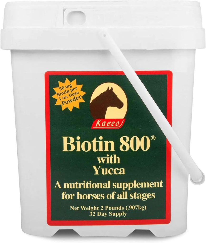 Biotin 800 Powder