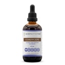 Secrets du Tribe Cordyceps Extrait liquide sans alcool, Cordyceps Sinensis Supplément de teinture de champignons séchés (4 FL OZ)