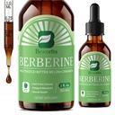 Supplément Berberine HCL avec Ceylan Cinnamon - Liposomale Berberine Phytosome gouttes liquides avec curcuma, Ceylan Cinnamon, Bitter Melon, Thistle de lait, Activateur AMPK pour support de digestion