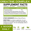 MFL Créatine musculo-squelettique de 3 formes de créatine micronisée de 10g de sucre de 60 portions (naturelles)