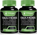 Irish Sea Moss Capsules, 17-en-1, Seamoss Black Seed Oil, 240 Count, Ashwagandha Burdock Root Organic Bladderwrack Capsules de Seamoss Bio Sea Moss Advanced, Immmune and Blood Pressure Support - 2 Pack