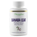 Herbes paradisiaques, Banaba Leaf, 12:1 Extrait concentré, 250 mg, végétalien, sans gluten, non-OGM, 180 capsules