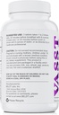 BELDT Labs VASST Nitric Oxide Booster, N.O. Supplément avec plus de 3000mg d'Arginine-AKG, OKG, GKG et L-Arginine HCL pour la construction musculaire et la vascularité améliorée - 90 comprimés