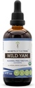Secrets of the Tribe Wild Yam USDA Organic (extrait sans alcool, gouttes à base de plantes de haute puissance, digestion) Fabriqué à partir de 100% certifié biologique sauvage Yam (Dioscorea Villosa) Racine séchée 4 oz