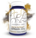 Capsules d'extrait de maca 5% Macamides Lepidium meyenii