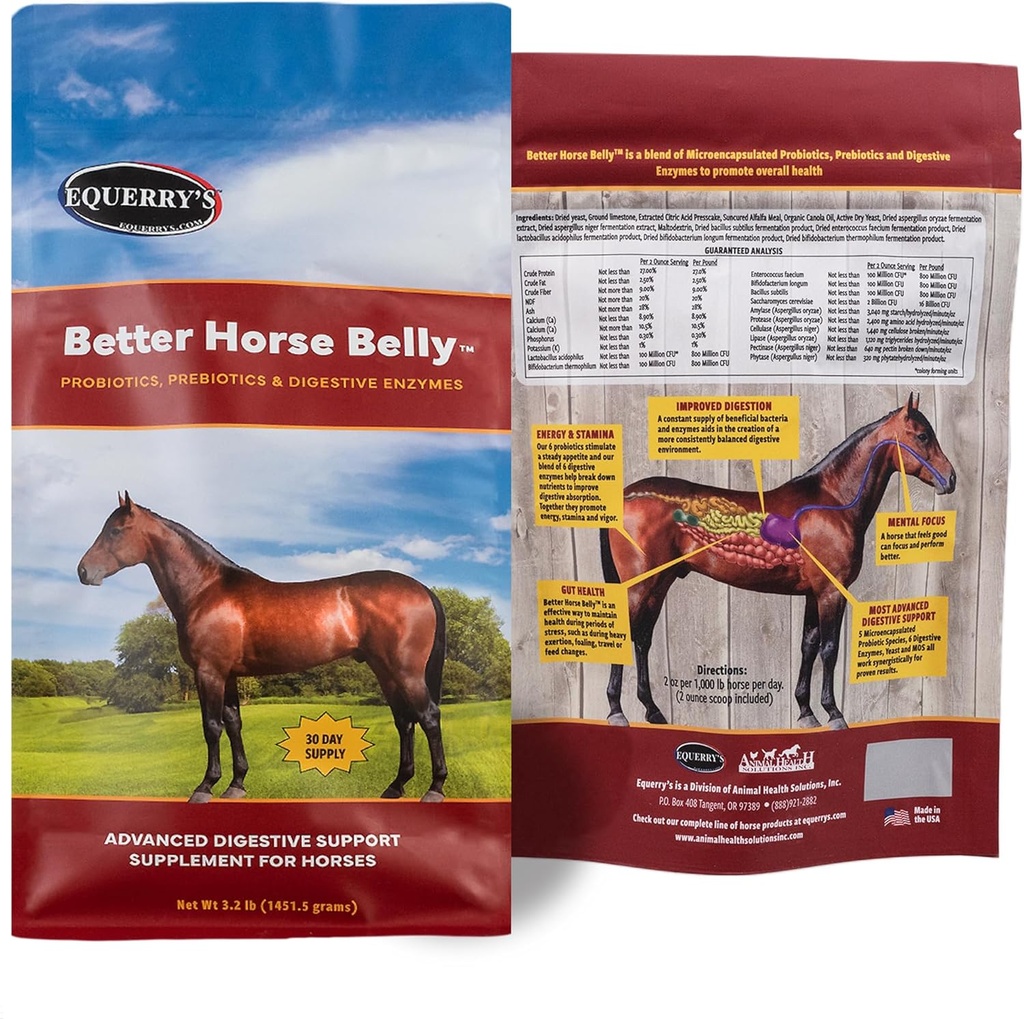 EQUERRY'S Better Horse Belly - Supplément pour les chevaux avec le soutien de Gut.