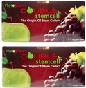 2X Phytoscience Double Stem Cell Anti Vieillissement Supplément Acai Berry Extrait Blueberry Réduire les rides Poches Pinceaux Fines lignes Peau Texture (14 sachets/paquet)