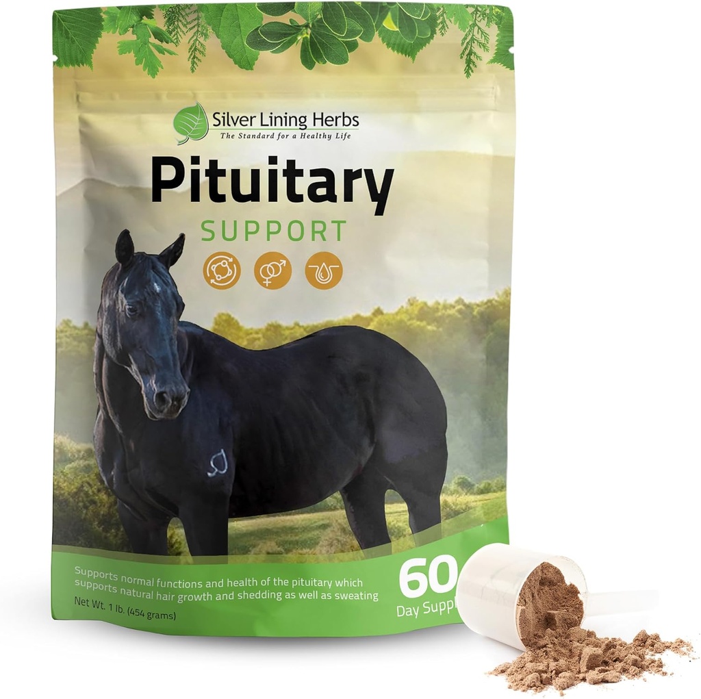 Silver Lining Herbs Pituitary Gland Supplements for Horses - Horse Supplements for Equine Metabolic Support, Cushing’s, Sweating & Shedding Issues - Mood & Energy Horse Supplement - 1 lb 60-Day Supply