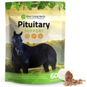 Feuilles d'argent Pituitary Gland Suppléments pour chevaux - Suppléments pour chevaux pour le soutien métabolique équine, Cushing, Sweating & Shedding Issues - Supplément pour chevaux d'humeur et d'énergie - 1 lb 60 jours d'approvisionnement