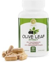 Extrait de feuille d'olive - 500mg - Supplément normalisé à 25% Oleuropein - 20% Hydroxytyrosol - 40% Polyphénols - Non-OGM + Sans gluten + Sans lait + Sans soja + Vegan (30 Capsules)