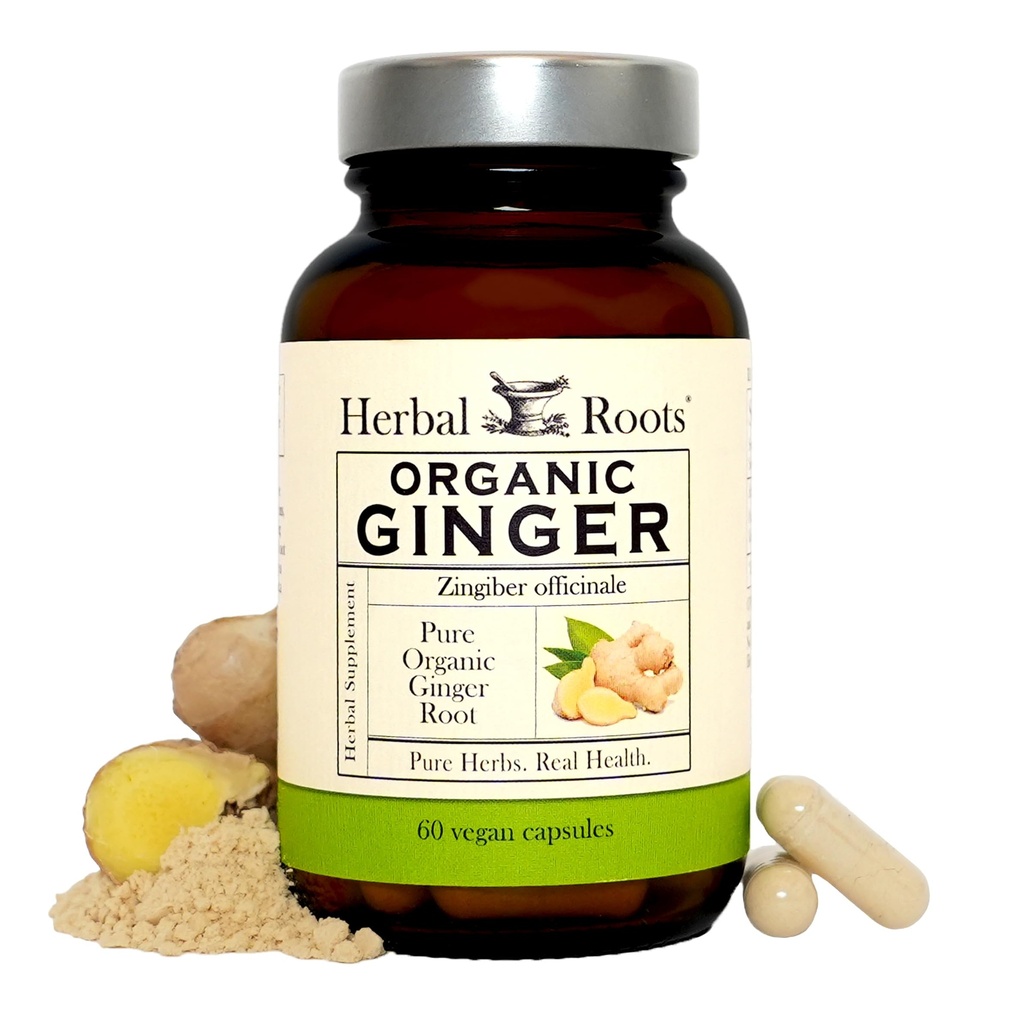 Graines à base de plantes Ginger Supplement de gingembre Organic Ginger Root Capsules de 1 200 mg de poudre de gingembre pur par portion