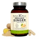 Graines à base de plantes Ginger Supplement de gingembre Organic Ginger Root Capsules de 1 200 mg de poudre de gingembre pur par portion