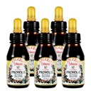 Distributeur officiel - 5 bouteilles d'Apiario Silvestre Brésilien Green Bee Propolis Liquide Glycolique Extrait non alcoolique, sans cire, sans sucre (PG)