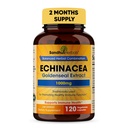 SANDHUHERBALS Sandhu Herbals Echinacea Goldenseal 1000 Mg 120 Capsules.
