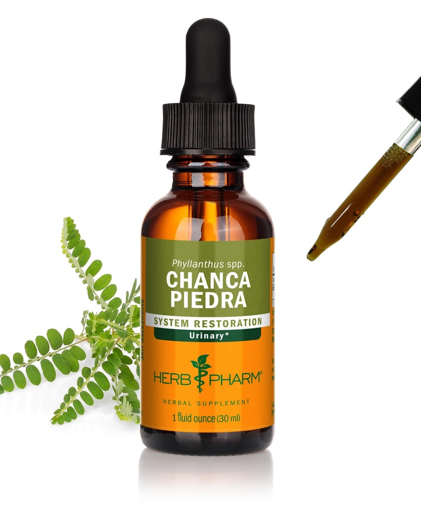 Herb Pharm Chanca Piedra Extrait liquide pour le soutien du système urinaire, 1 Fl Oz