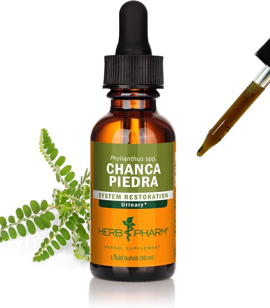 Herb Pharm Chanca Piedra Extrait liquide pour le soutien du système urinaire, 1 Fl Oz