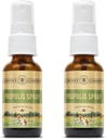 Honey Gardens Abeille Propolis Spray de gorge avec Apitherapy Miel cru, racine de réglisse et Usnea. 50 portions