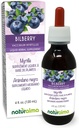 Naturalma Bilberry ou Blueberry Européen (Vaccinium myrtillus) Teinture sans alcool de fruits - 4 fl oz Extrait liquide dans les gouttes - Supplément à base de plantes - Vegan