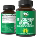 Mitochondria Maximizer avec CoQ10 et PQQ actif. Meilleur supplément de soutien mitochondrial avec l'huile MCT. Générateur cellulaire naturel pour l'énergie propre et ciblée 60 capsules végétariennes