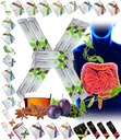 All Natural Detox Cleanse Tea Mix instantané Prune & Plum w. Fibre & Inulin pour un transit intestinal optimal par FuXion Prunex 1 (10 sachets)