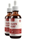 Extrait actif de feuille d'olive de Rejuvica se produisant naturellement Oleuropein gouttes liquides pour l'immuno-soutien cardiaque.
