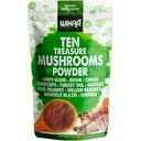 Wixar Poudre de Champignon - Dix Trésor Mélange de Supplément de Champignons pour Café & Smoothies - Lions Mane, Turquie Tail, Reishi, Chaga, Shiitake, Cordyceps, Complexe - Supplément de Champignon 4oz