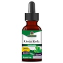 Réponse de la nature Gotu Kola Herb Alcool Free, 1-Fluid Ounce , Supplément alimentaire , soutient un système immunitaire sain , Fabriqué aux États-Unis , sans gluten, végétalien et végétarien