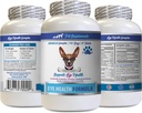 Soin des yeux pour chiens - Chiens Formule santé des yeux - Complexe avancé de soutien des yeux - VETS Recommandé, Canneberge de chien, Supplément vision des yeux pour chiens, Supplément pour soins des yeux, Vitamines de soutien des yeux 1Bot 60Tabs