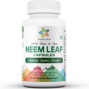 Capsules Aura Neem organiques. 100% Pure et Potent. Un super aliment vert cru. Fabriqué avec des feuilles entières de neem spectre. Agent détoxifiant Miracle, peau radiante et immunité.