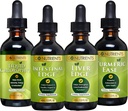 Go Nutrients Digestion & Detox Bundle – Liquid Chlorophyll, Liver Edge, Intestinal Edge, Turmeric Ease – Supports Cleansing, Digestion, Liver Health, and Body Defense, Revitalize Skin &Vitality