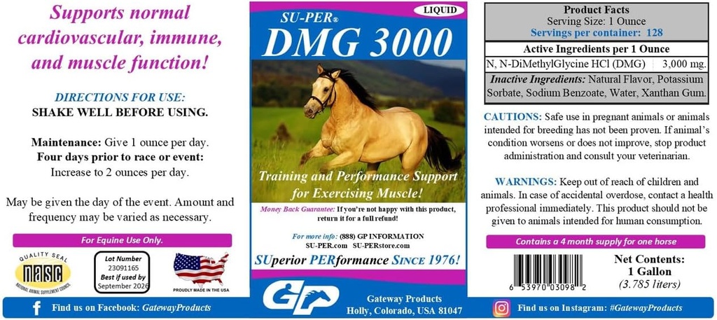 SUPER DMG 3000 Horse Supplement - Training & Performance Support Liquide - Supporte la fonction immunitaire et musculaire cardiovasculaire normale - 1 Gallon, 4 mois d'approvisionnement