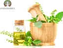 Poudre de Tulsi Poudre de Basilic Saint 100 Gm.