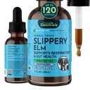 Essentials Animaux Elm Slippery - Slippery Elm Bark Anti Diarrhée gouttes pour les chiens et les chats, Extrait de plantes biologiques pour la santé Gut, le soutien digestif et la gorge, aide le reflux acide, Formule liquide- 1 fl oz