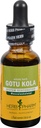 Herb Pharm certifié Bio Gotu Kola Extrait liquide pour le soutien du système musculosquelettique, 1 Fl Oz