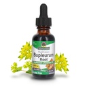 Nature= Réponse Bupleurum Racine Bupleurum chinense - supplément naturel à base de plantes - sans alcool au gluten - idéal pour l'immunité du foie - 1000mg (1 FL Oz)