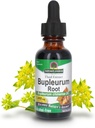 Nature= Réponse Bupleurum Racine Bupleurum chinense - supplément naturel à base de plantes - sans alcool au gluten - idéal pour l'immunité du foie - 1000mg (1 FL Oz)