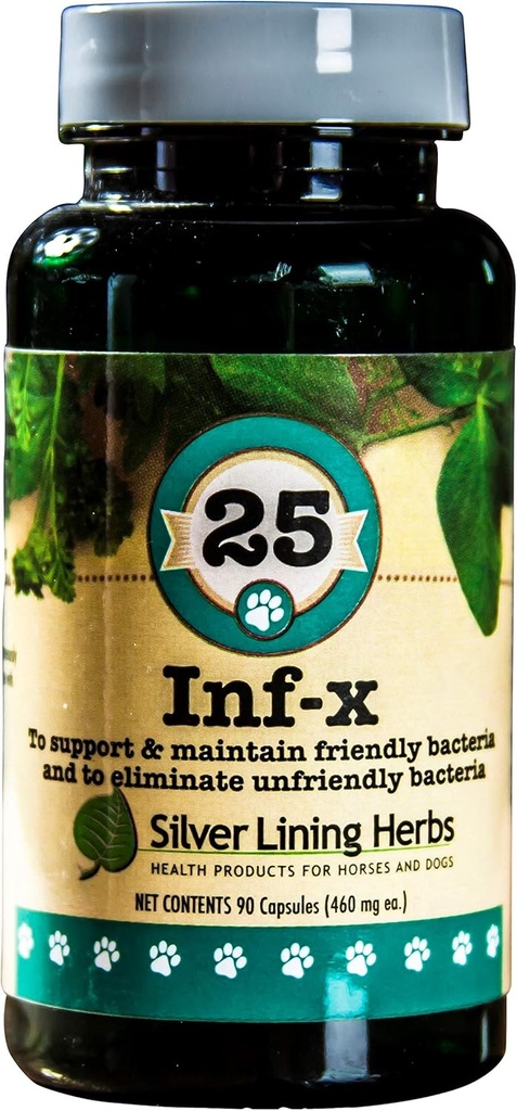 Silver Lining Herbs 25 Canine INF-X - Aide à maintenir des niveaux de digestion sains - Soutien naturel pour le processus normal de désintoxication - Supplément santé à base de plantes pour chiens - 90 capsules