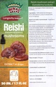 Supplément de champignons Reishi/Notre extrait de champignons Reishi favorise la teinture de champignons Longévité/Reishi - 50ml / 1,7 Fl Oz